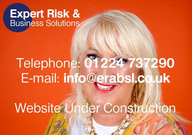 Expert Risk and Business Solutions logo